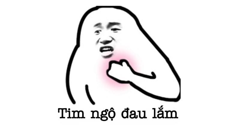 100-nh-meme-h-i-h-c-vui-nh-n-trend-nh-t-hi-n-nay